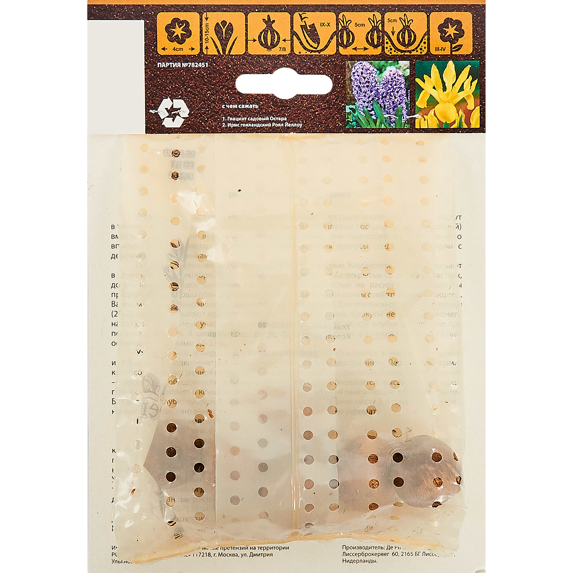 15072779 Крокус Пиквик, 7/8, 6 шт Santreyd  - Вид №1