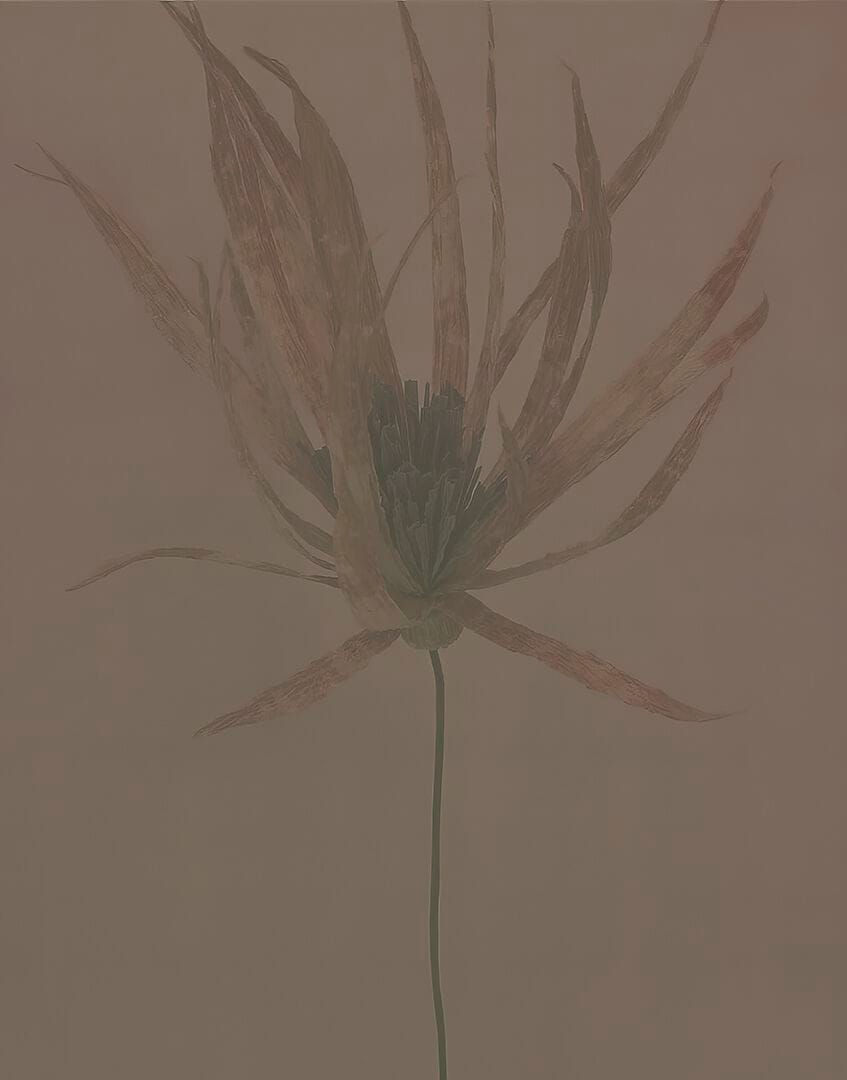 Обои с поддержкой d. ecodura™ Wall&decò Современные обои 2024 ARCH-00148675 - Вид №2