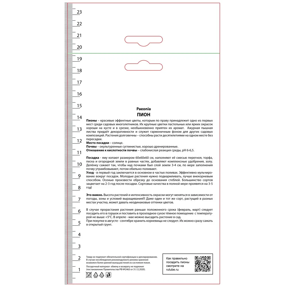 Пион молочноцветковый травянистый Черри Хилл 89452206 STLM-2206594 ПОИСК 
