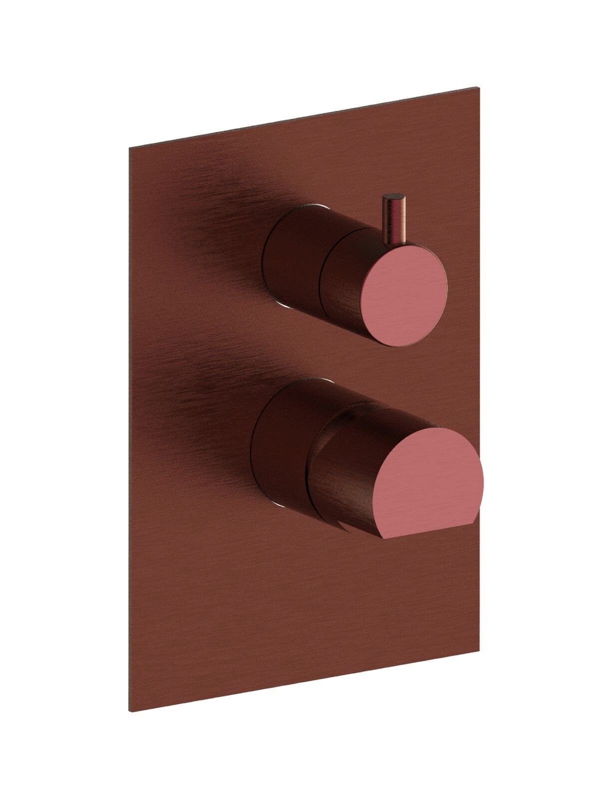 Однорычажный смеситель для душа из нержавеющей стали с переключателем Rubinetterie Frattini Borgia ARCH-00100194 - Вид №2