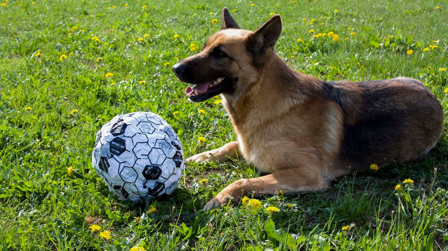 Футбольная лента Magis sun-id-1328981 - Вид №5