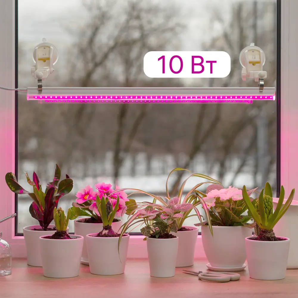 Фитолампы Ritter Planta для растений с выключателем - эффективная досветка рассады и цветов 85336791