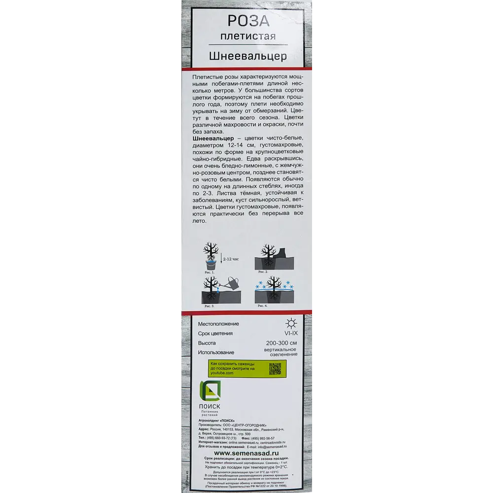 Роза плетистая Шнеевальцер h100 см Santreyd STLM-2211354 - Вид №2