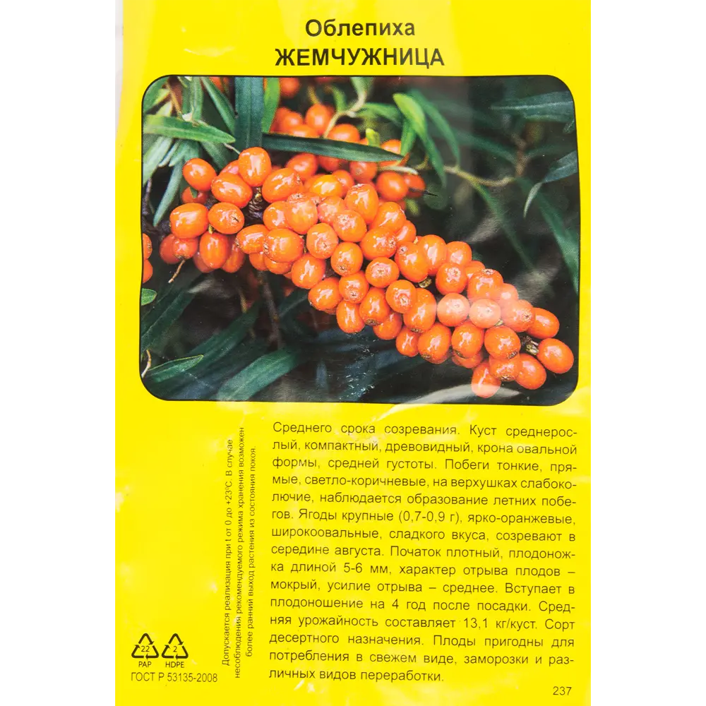 Облепиха Жемчужница h40 см 83791411 STLM-2094788 Santreyd  - Вид №1