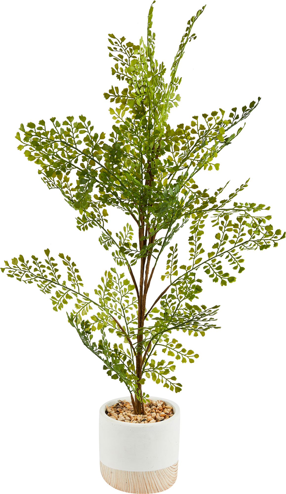 87681876 Искусственное растение Фикус 71x14 см пластик STLM-0074886 Santreyd  - Вид №1