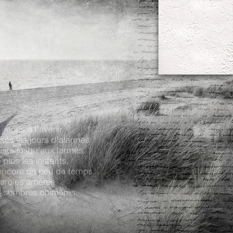 WP02006A Обои декоративные Adriani e Rossi  - Вид №4