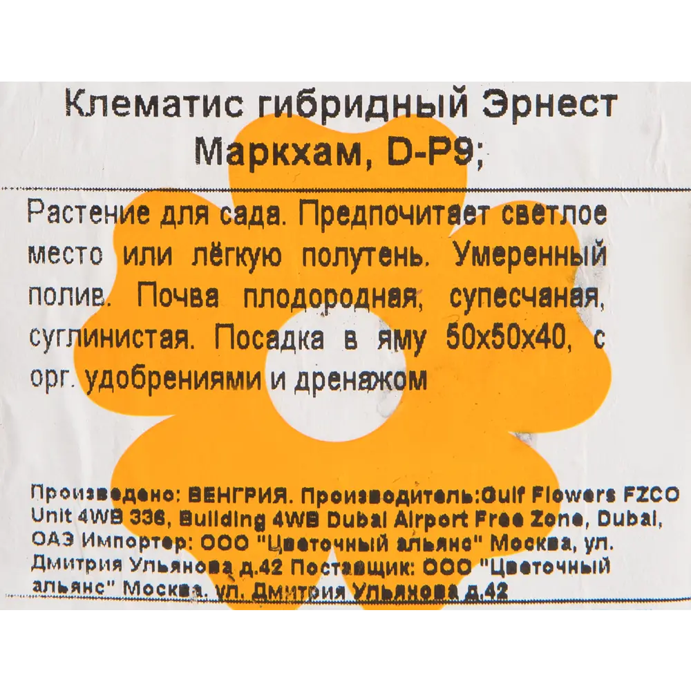Клематис гибридный «Эрнест Маркхам» 9x6 см 82584565 STLM-2141474 Santreyd  - Вид №1