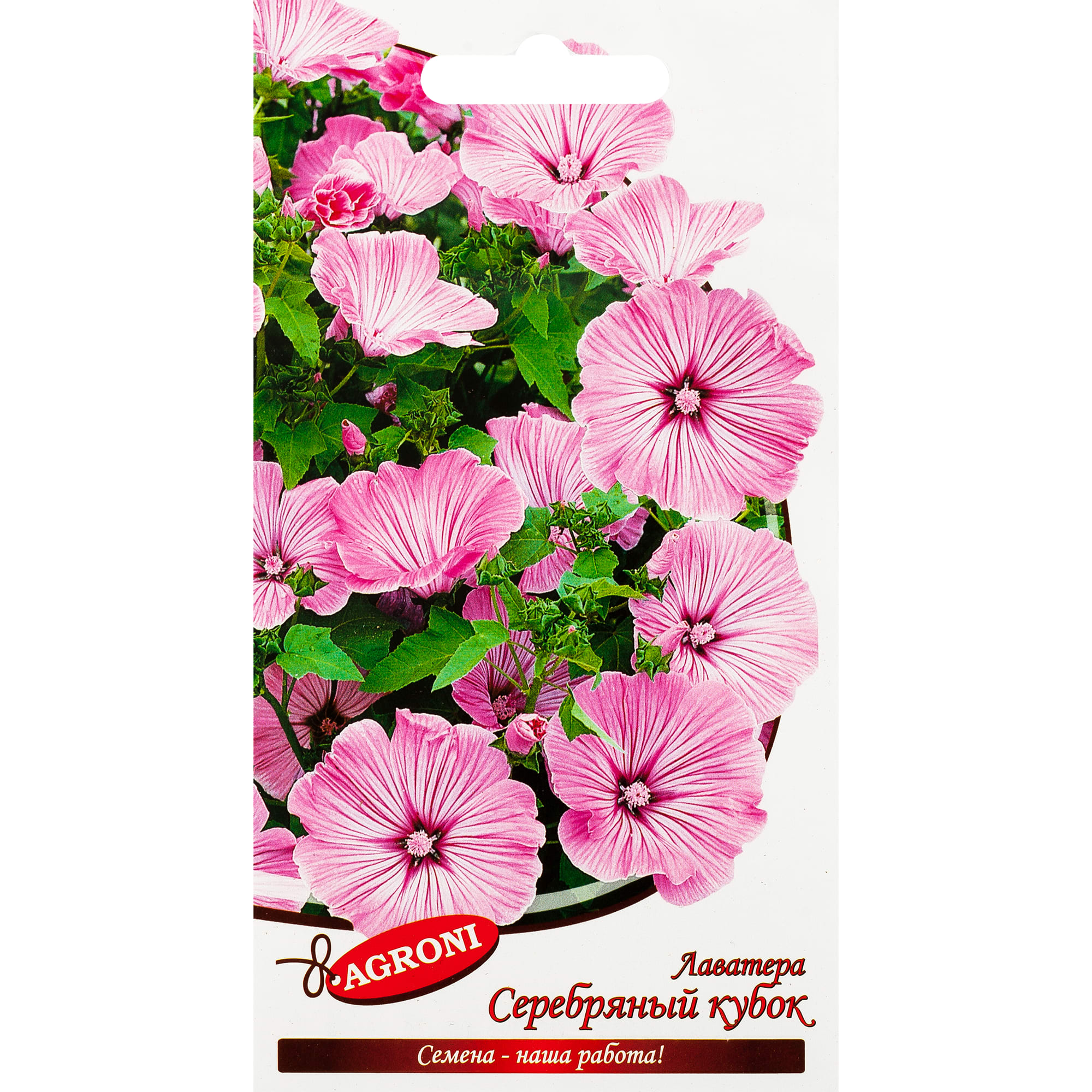 13067335 Лаватера «Серебряный кубок» Santreyd 