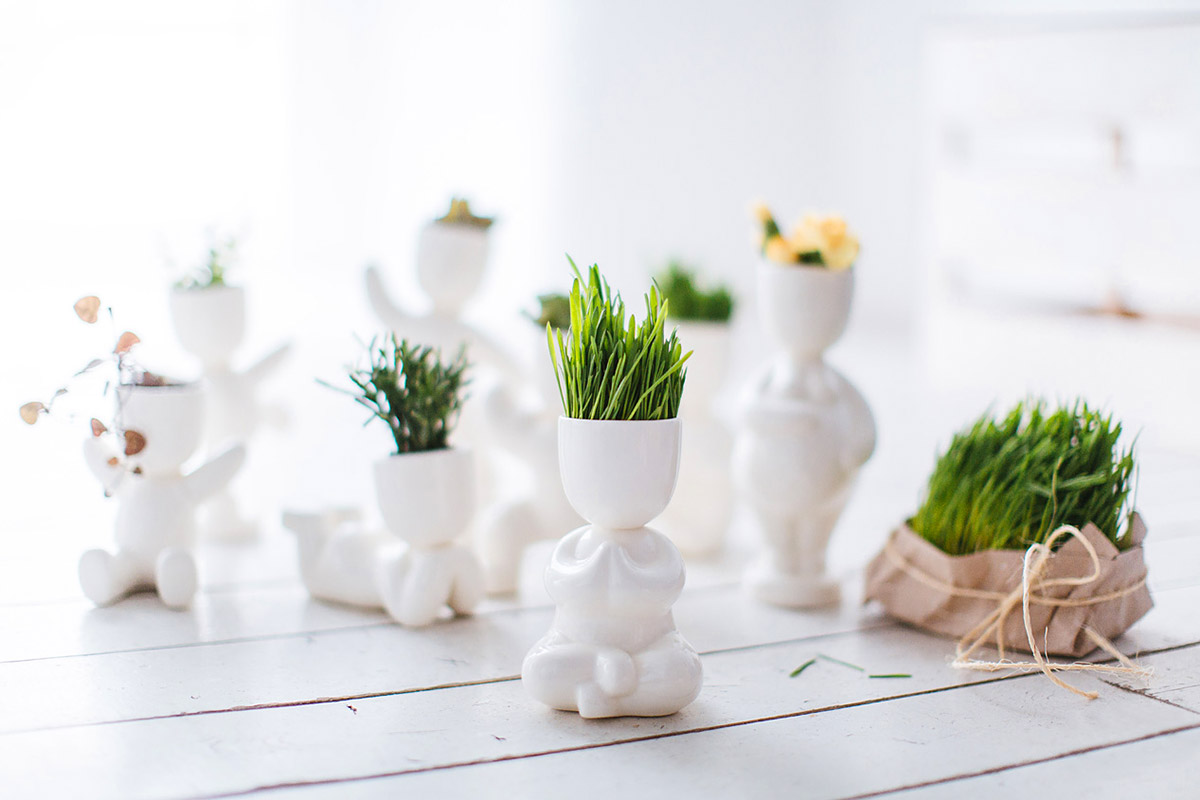 Набор для выращивания Eco Йог ЭКОЧЕЛОВЕКИ 1004 - Вид №4