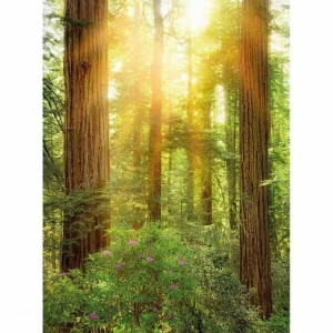 XXL2-044-RedWood Фотообои Komar Into Illusions Edition 2 1.84х2.48 м