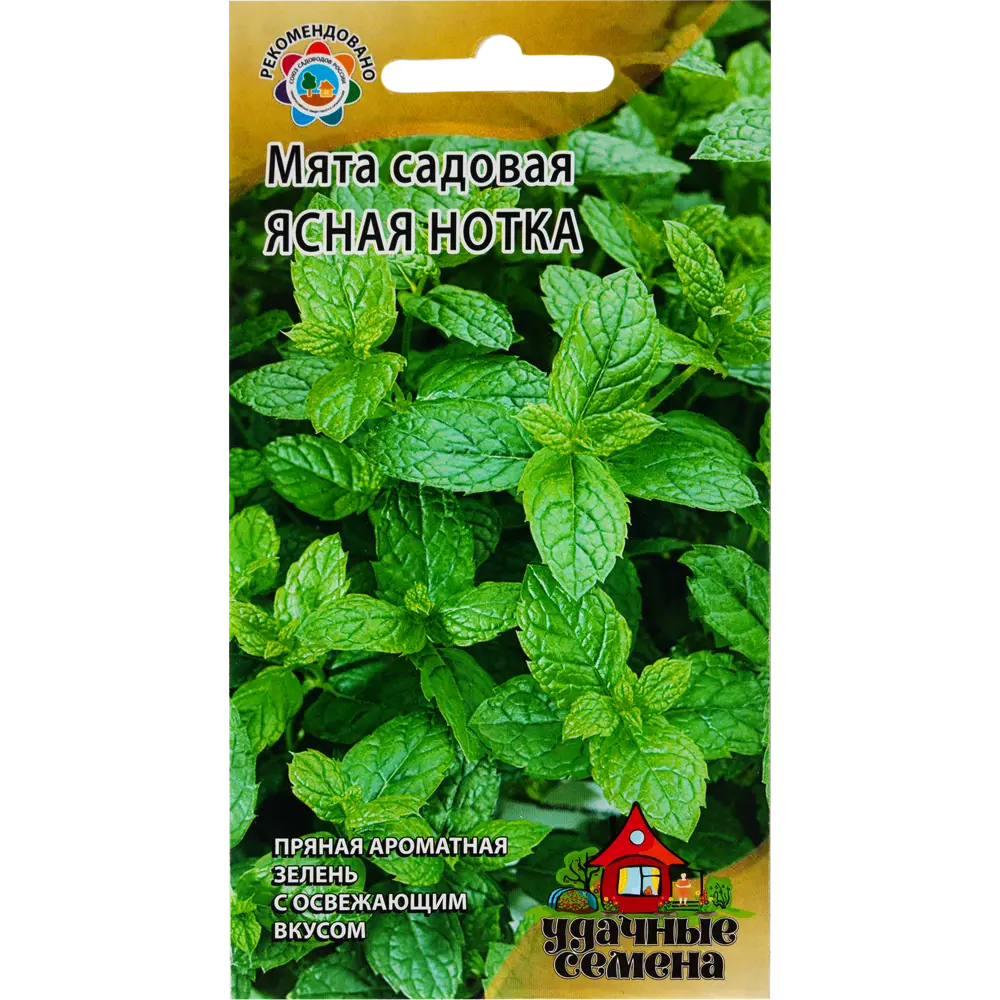 ГАВРИШ Мята «Ясная нотка» - ароматная зелень для кулинарии и чая 82097768 STLM-0965445