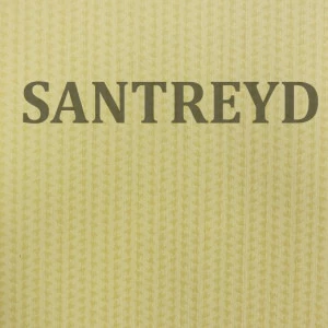 79448 Обои Rasch Selected