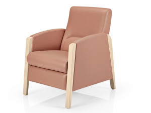 Кресло с подлокотниками