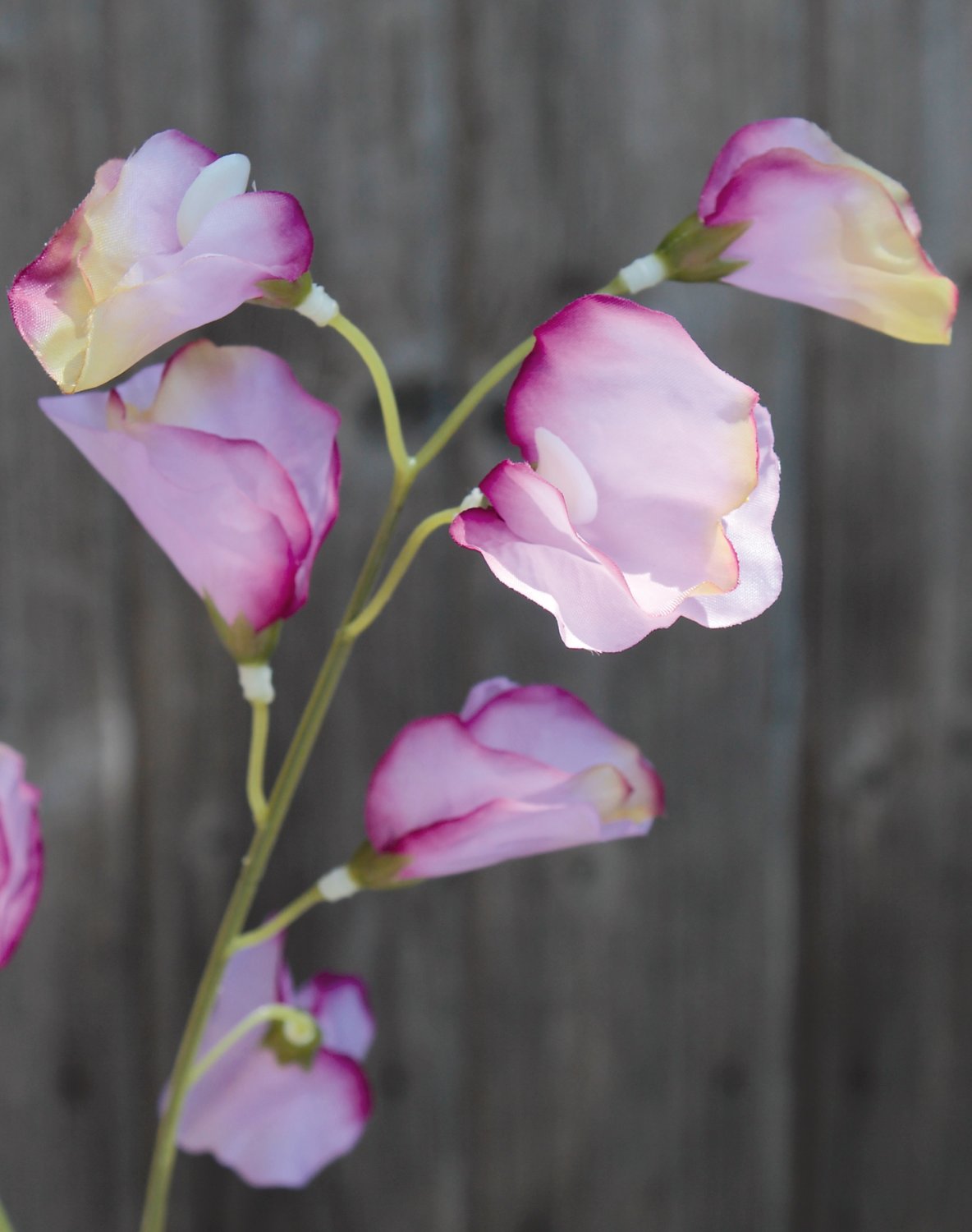 3181 005 a3 Вики искусственные, 4 штуки, 48 см, разноцветная миткалевая роза H-andreas  - Вид №14