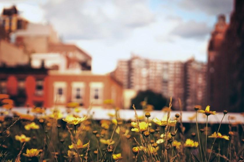 Panaria Ceramica Настенная / напольная плитка из керамогранита с эффектом камня Prime stone sun-id-1456155 - Вид №17