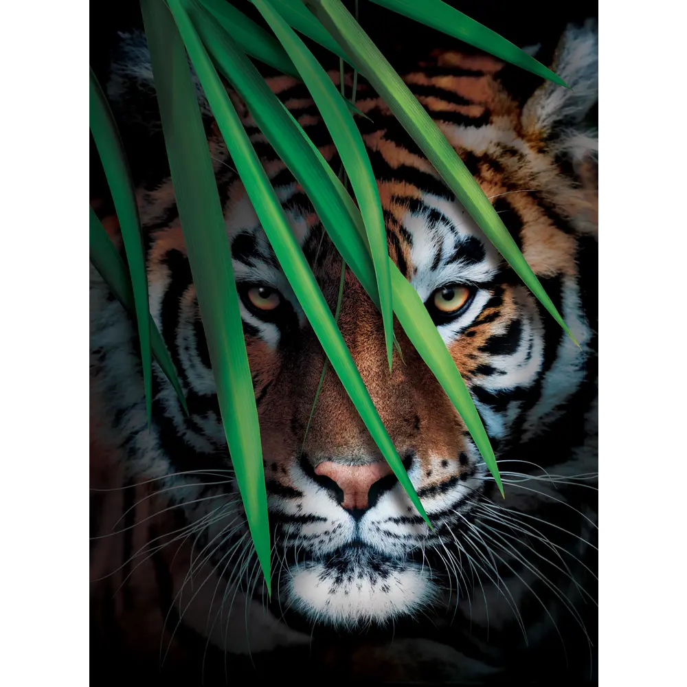 Фотообои Тигр на охоте флизелиновые, 200x270 см, L13-196 FBRUSH 3D FLIZART STLM-2070867