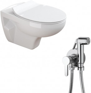 N555661aosta Подвесной унитаз настенный Белый Paini  Италия;Португалия