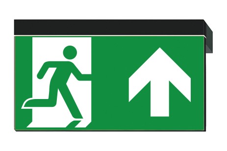 DST-1910 Ikus 2211-p Daisalux Светильники сигнальные Черный 