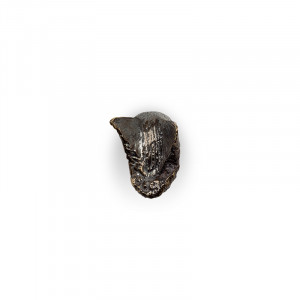 EA1042 Flux PULLCAST Earth Collection
