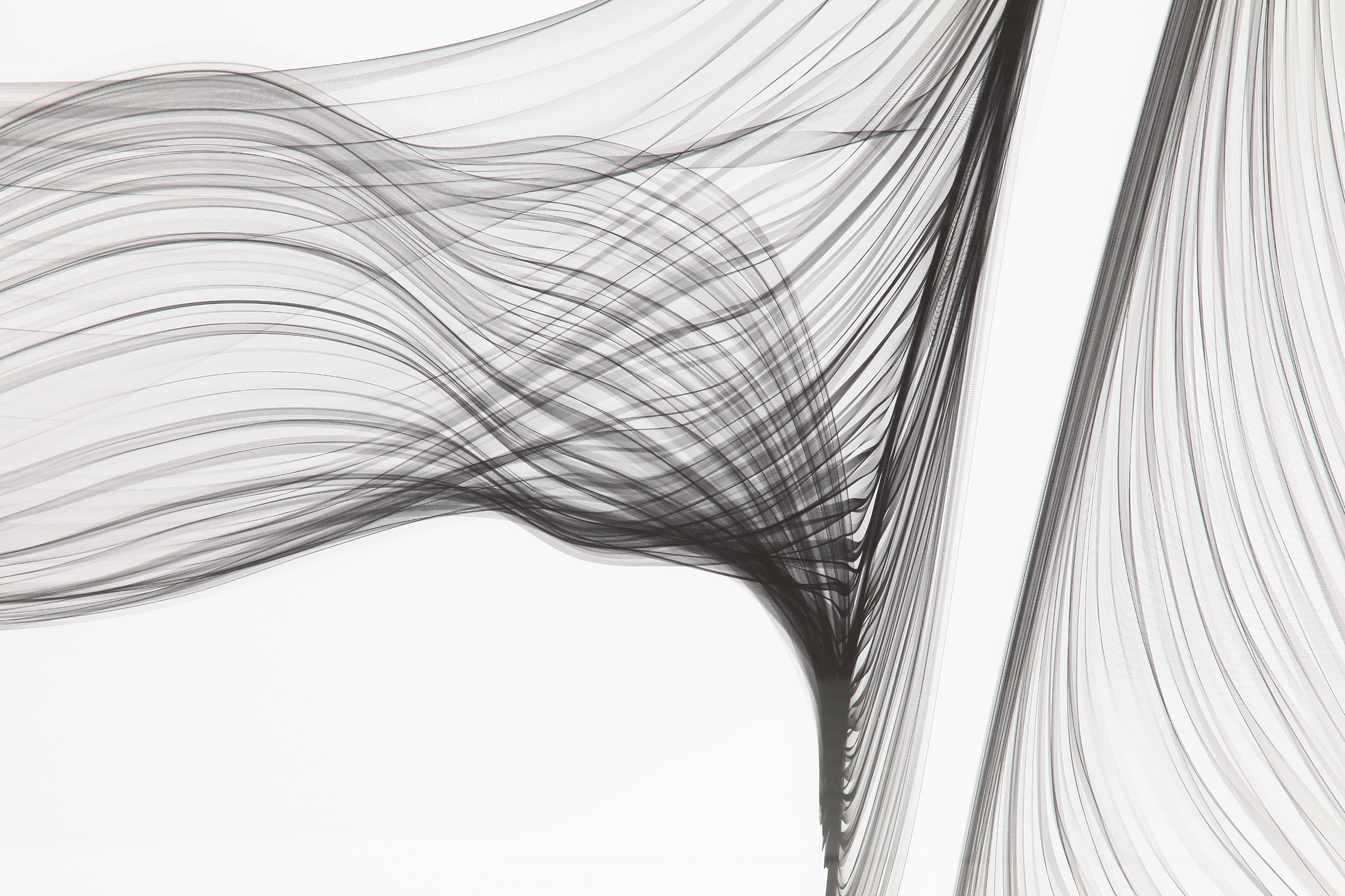 2000983162175 Постер Wind LINIE DESIGN  - Вид №1