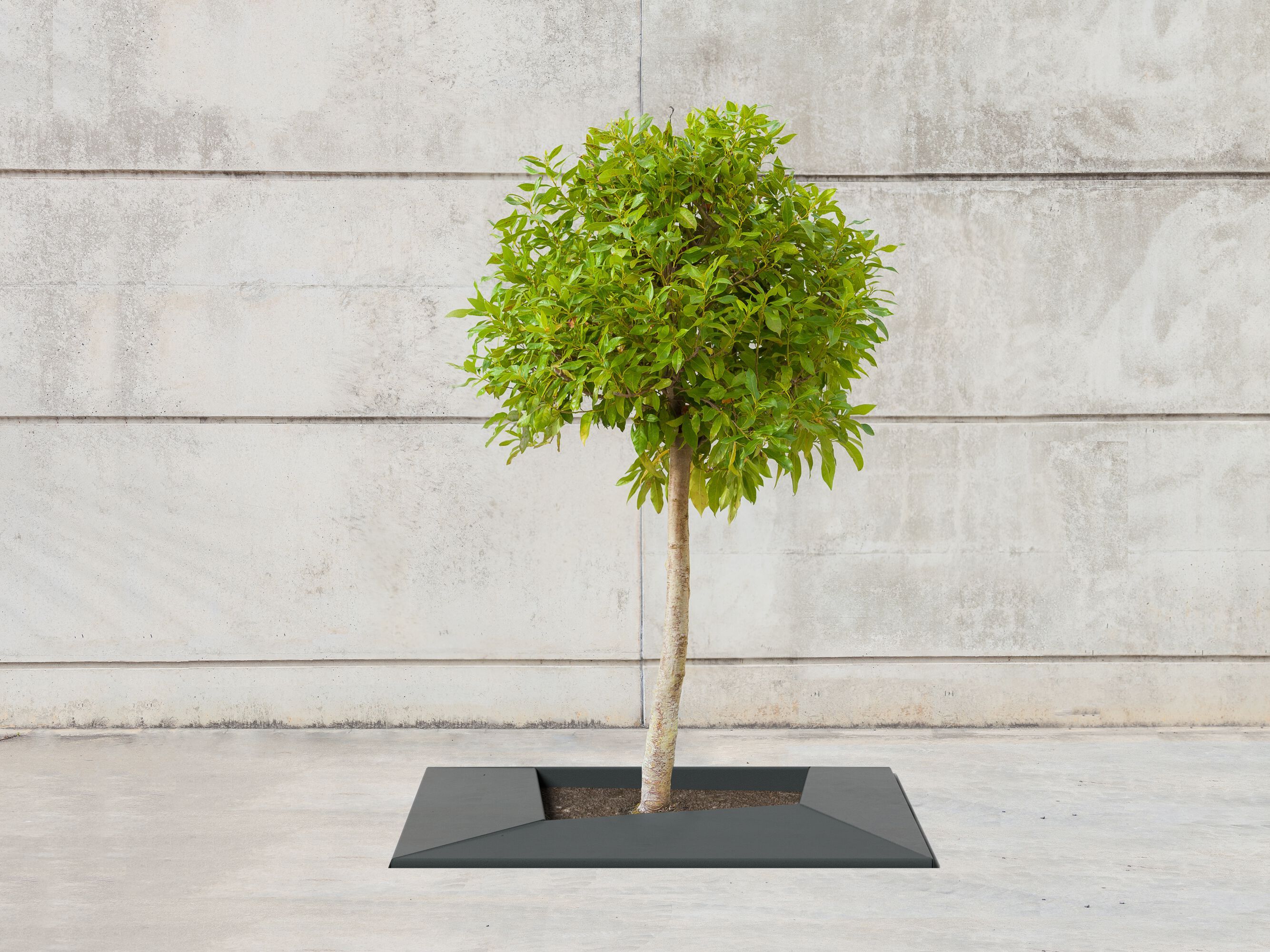 Железная решетка для деревьев SIT Skew ARCH-00021148