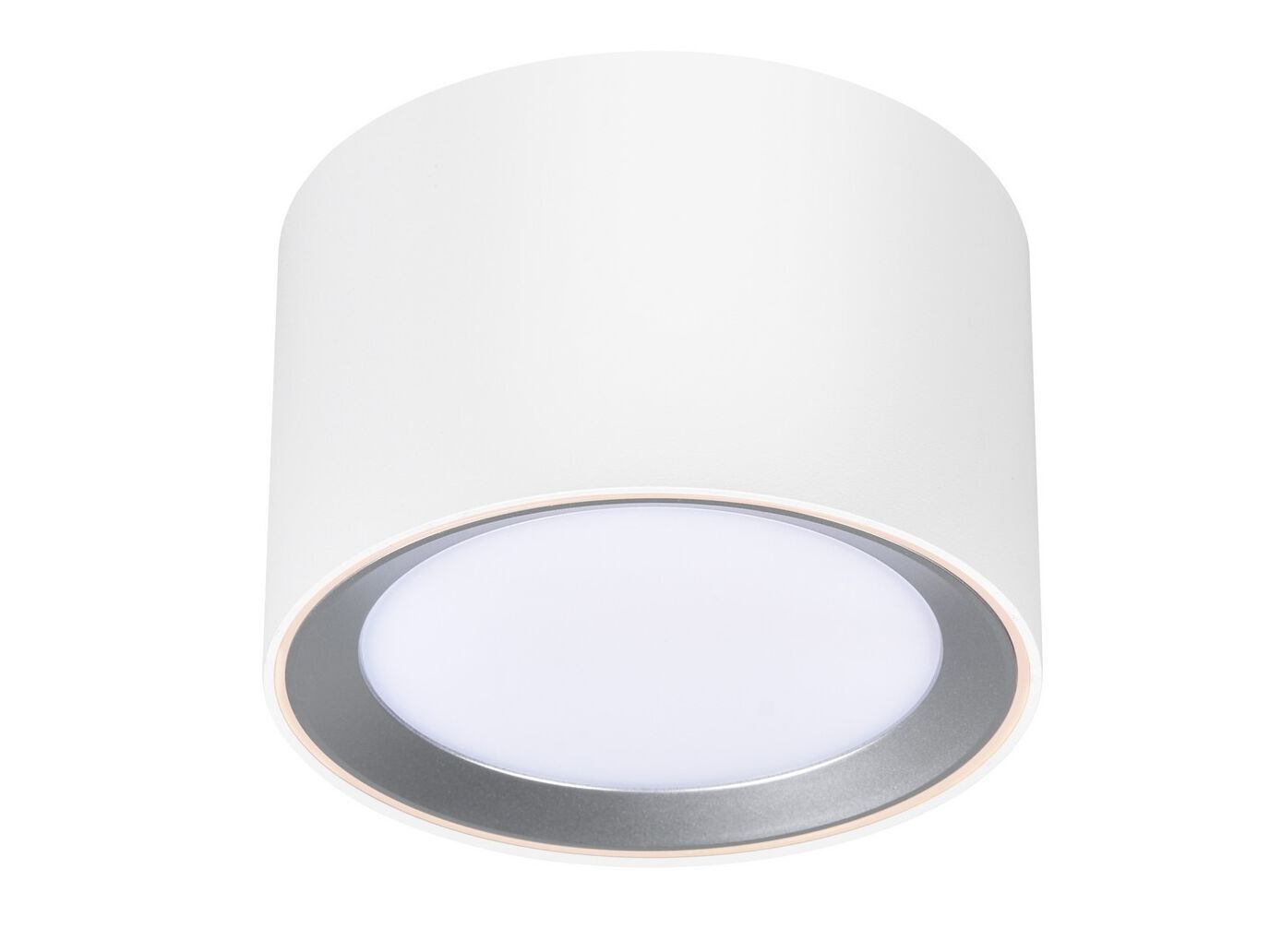 Потолочный металлический прожектор Nordlux Landon ARCH-00137851 - Вид №1