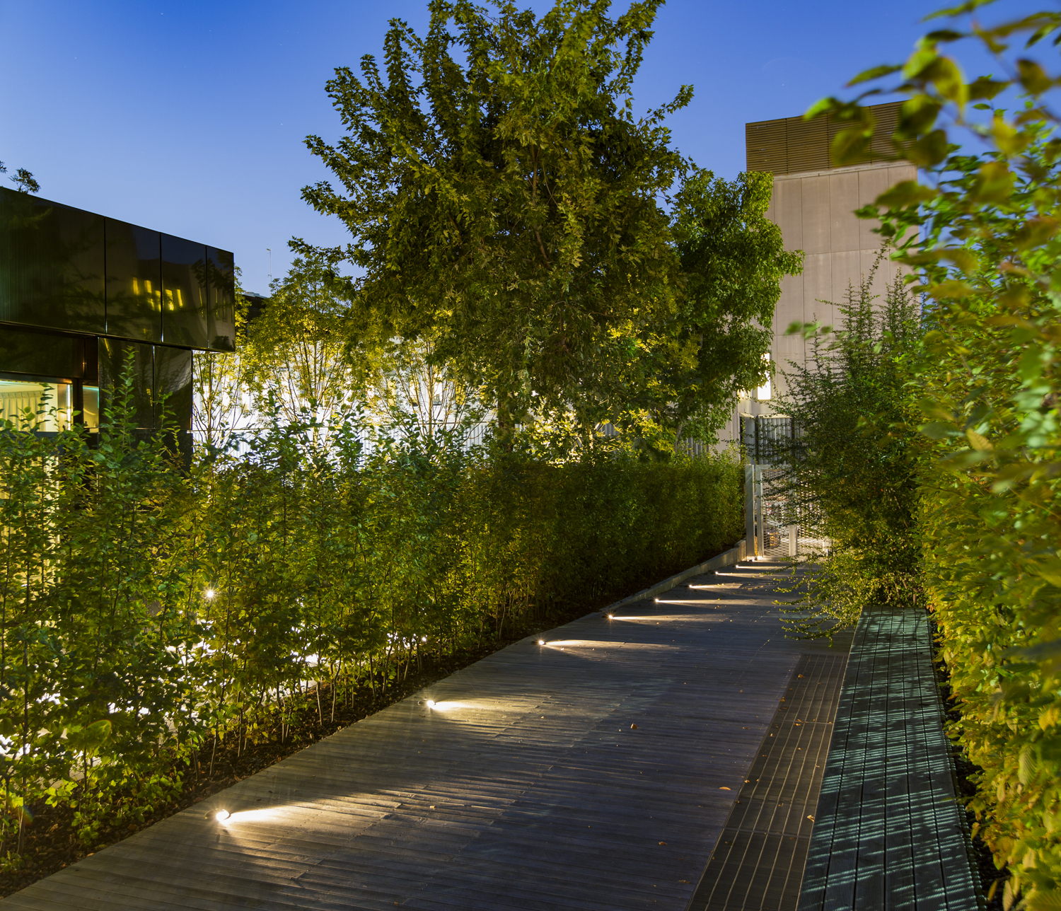 8409766 Настольный встаеваемый светильник Platek MINI Luce radente  MINI Roll Over - LED 4000K 2 Openings  - Вид №4