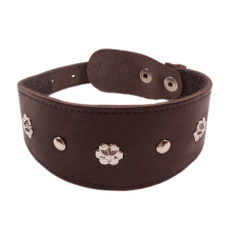 ПР0048175 Ошейник для собак Камбала 1сл 55мм 30см коричневый ZOOEXPRESS 