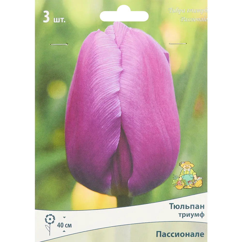 Тюльпан Триумф Пассионалез луковица 10/11, 3 шт. 88294817 STLM-2058969 Santreyd 