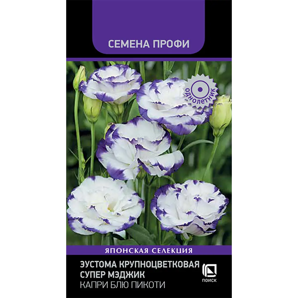 Эустома Поиск Капри Блю Пикоти - белые цветы с синей каймой 89401100 STLM-1572825