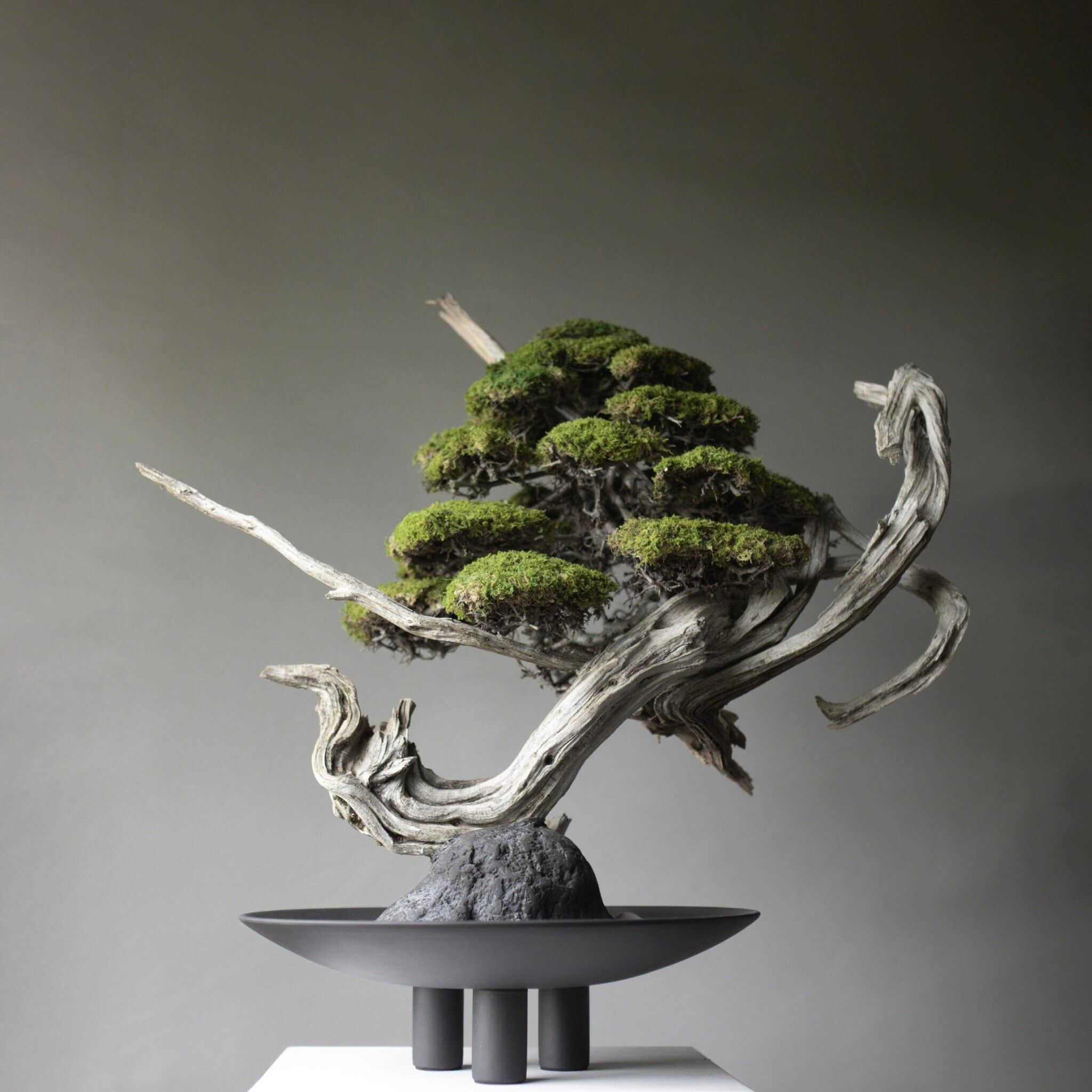 ARCH-00117512 Лоток для хранения яиц 101 Copenhagen Дания утка - Вид №1