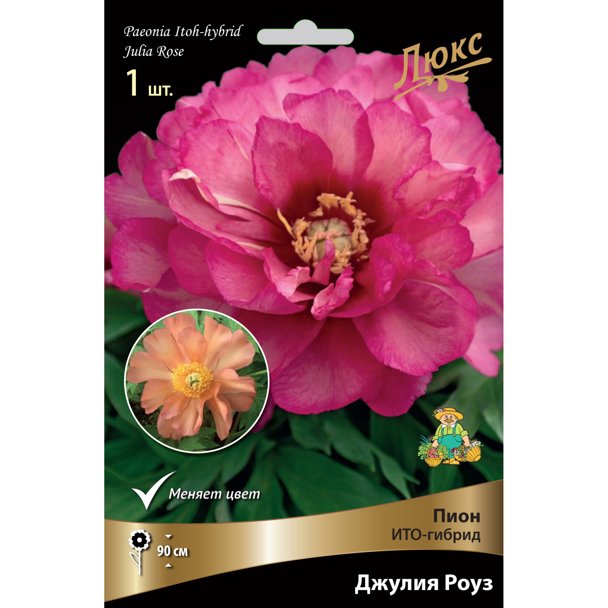 82661866 Пион ито-гибрид «Джулия Роуз» разбор 2-3 Santreyd 