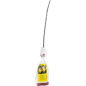 Груша Детская пакет h50 см 89353502 STLM-2033175