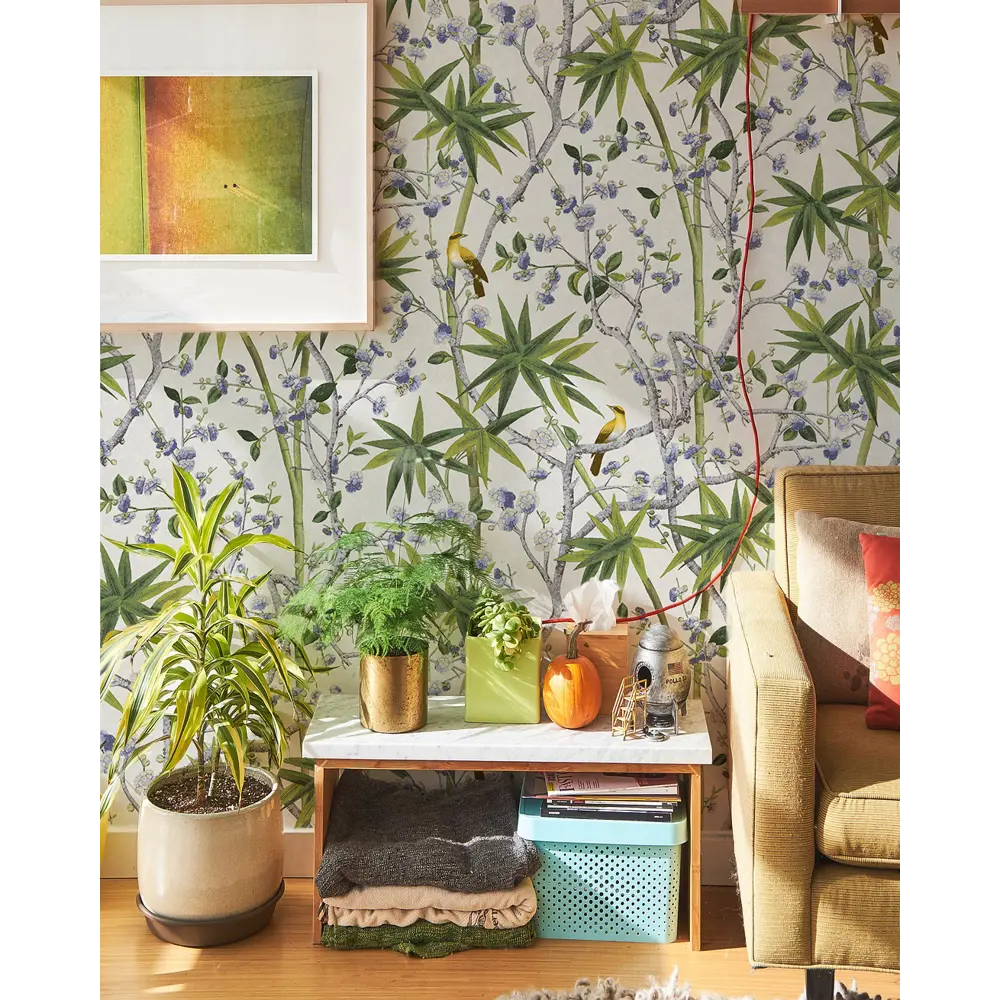 Обои флизелиновые Birds желтые птицы 1.06x10 м 32100 SOLO STLM-2177187 - Вид №2