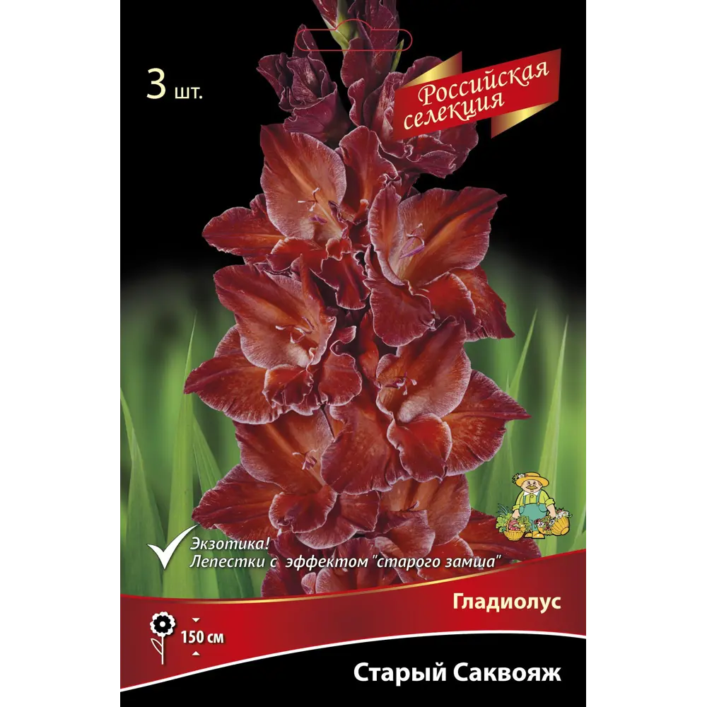 Гладиолус Старый саквояж, 3 шт. 89351826 STLM-2036849 ПОИСК 