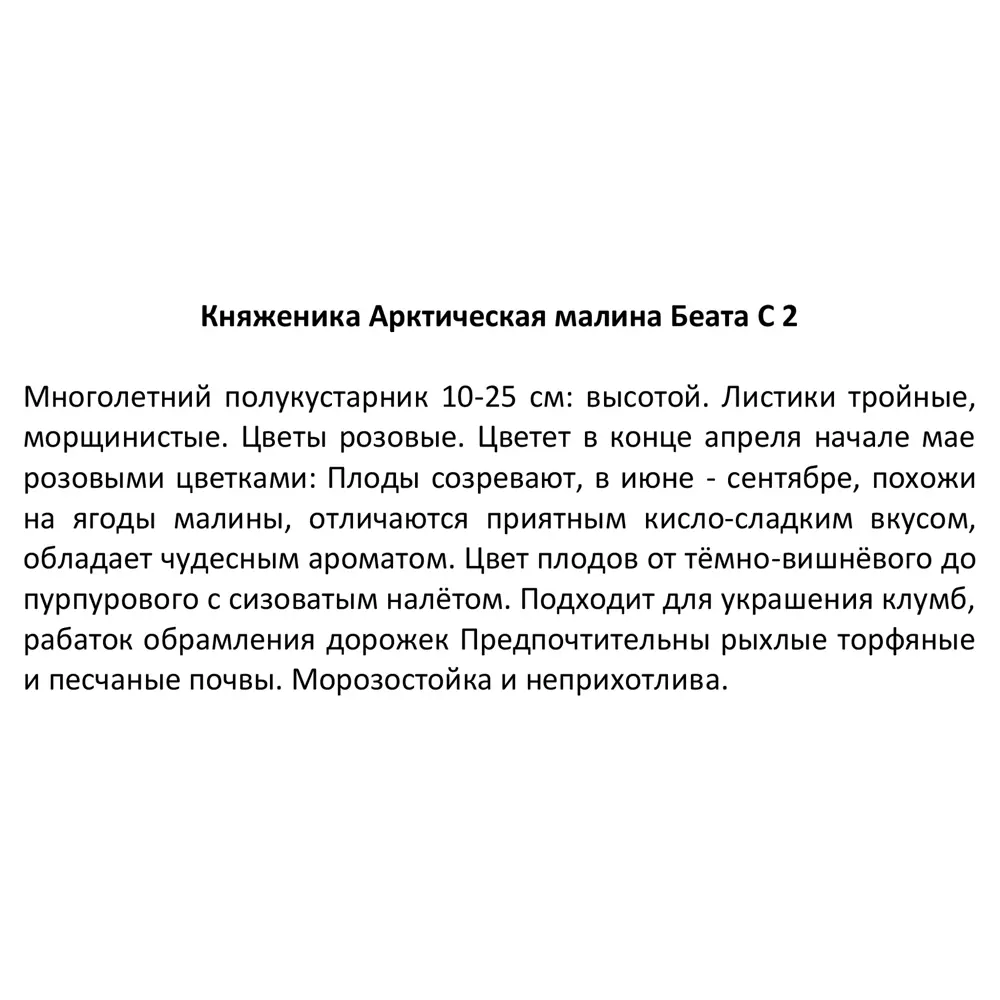 Саженец княженики Santreyd - арктическая малина с ананасным ароматом 85325518 STLM-0061611 - Вид №4