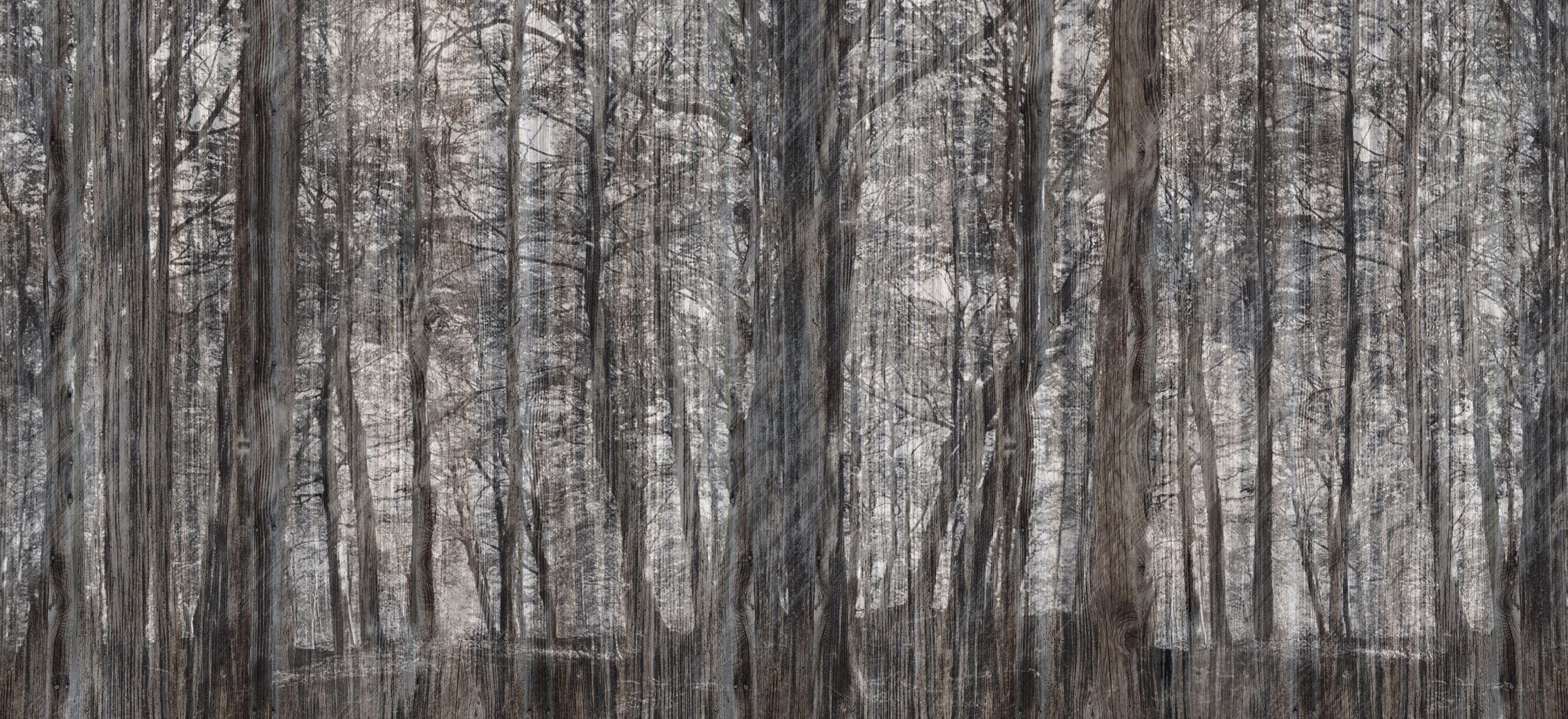 Обои с пейзажами Inkiostro Bianco LITTLE RED RIDING HOOD ARCH-00095695 - Вид №2