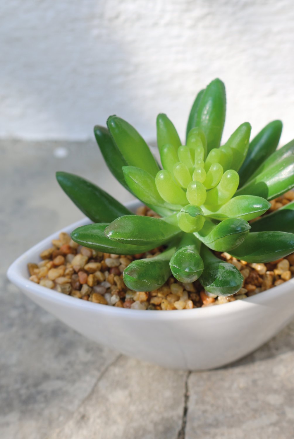 6334 883 a3 Очиток искусственный в керамическом горшке, 9см, зеленый H-andreas  - Вид №1