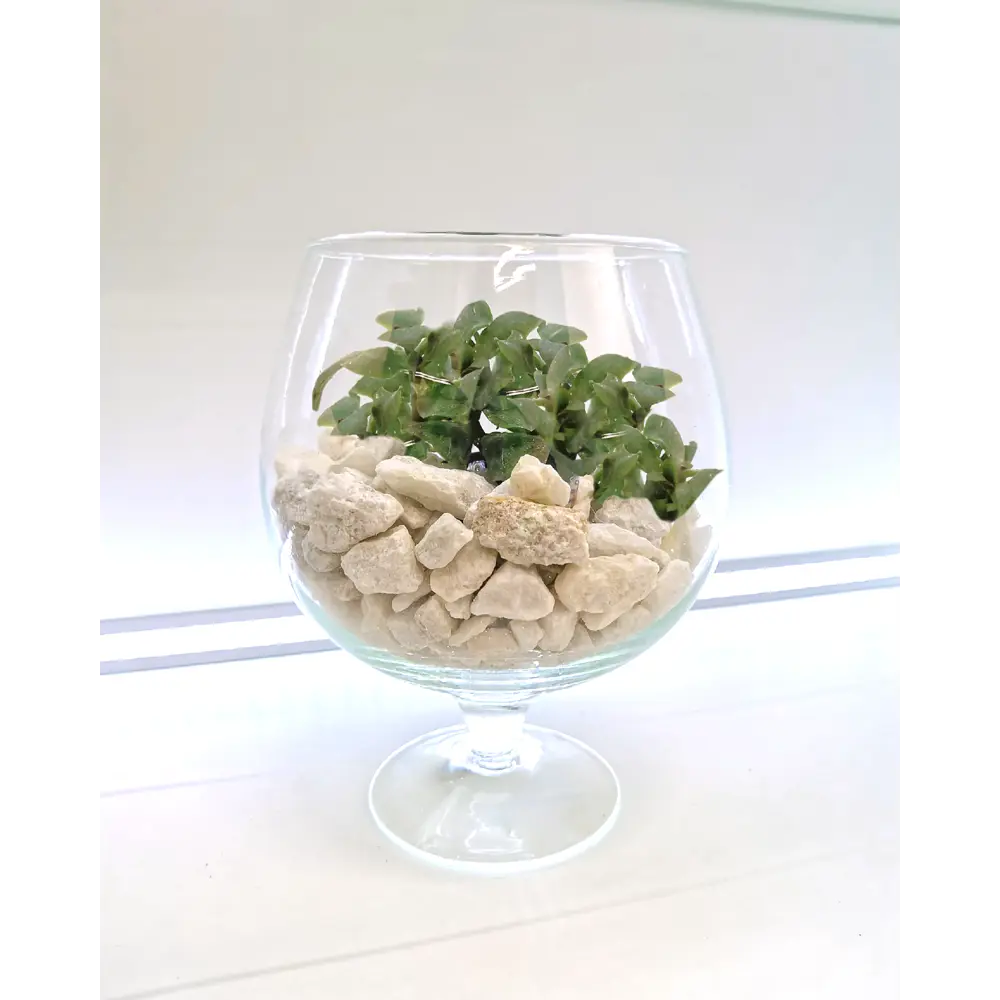 Ваза Santreyd «Бренди» — стеклянная на ножке для изысканного декора 82223426 STLM-0022305 - Вид №4