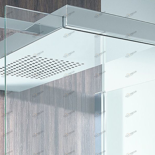 Душевая лейка CIELA 75 см HOESCH 5780