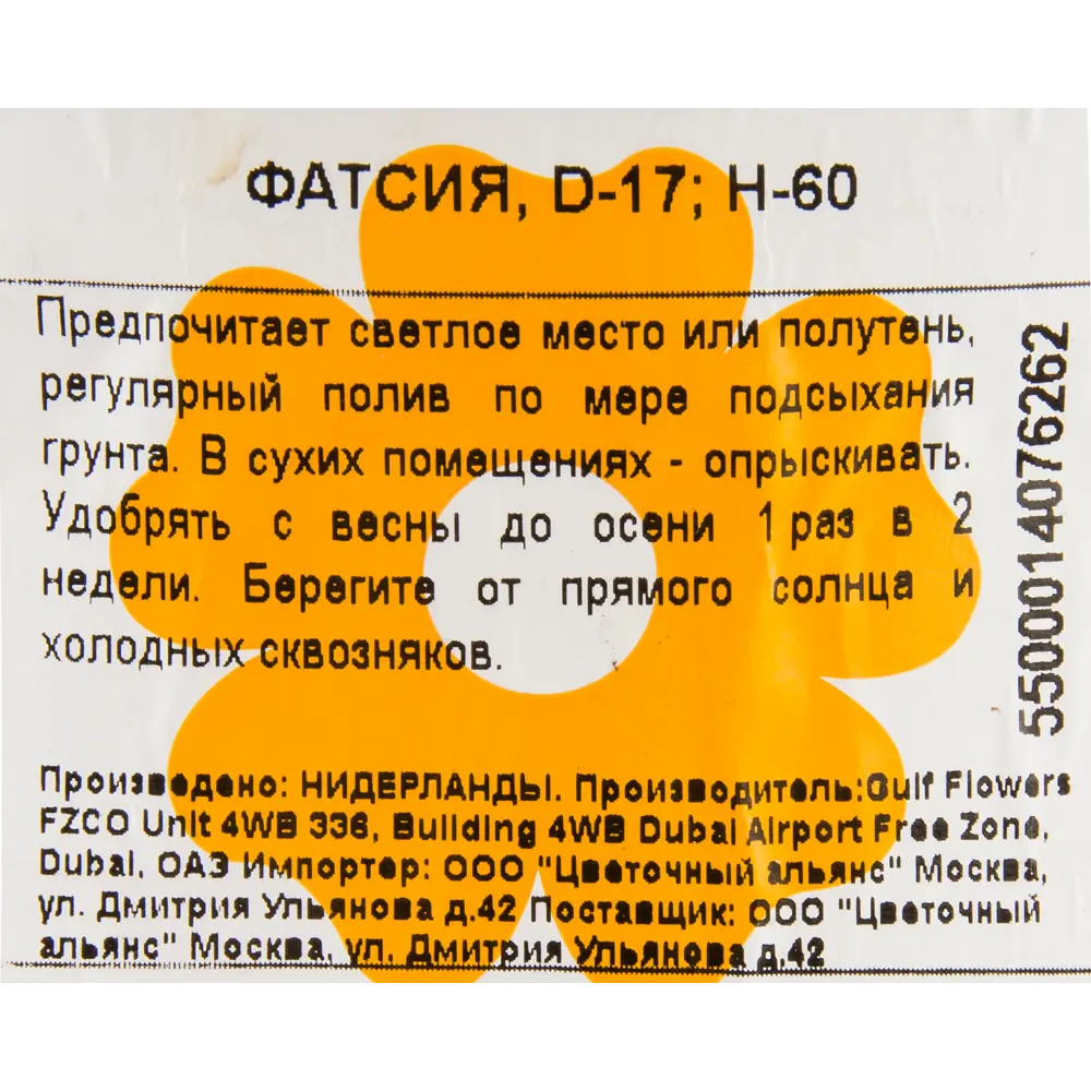 Фатсия 17x60 см 82850369 STLM-2001011 Santreyd  - Вид №2