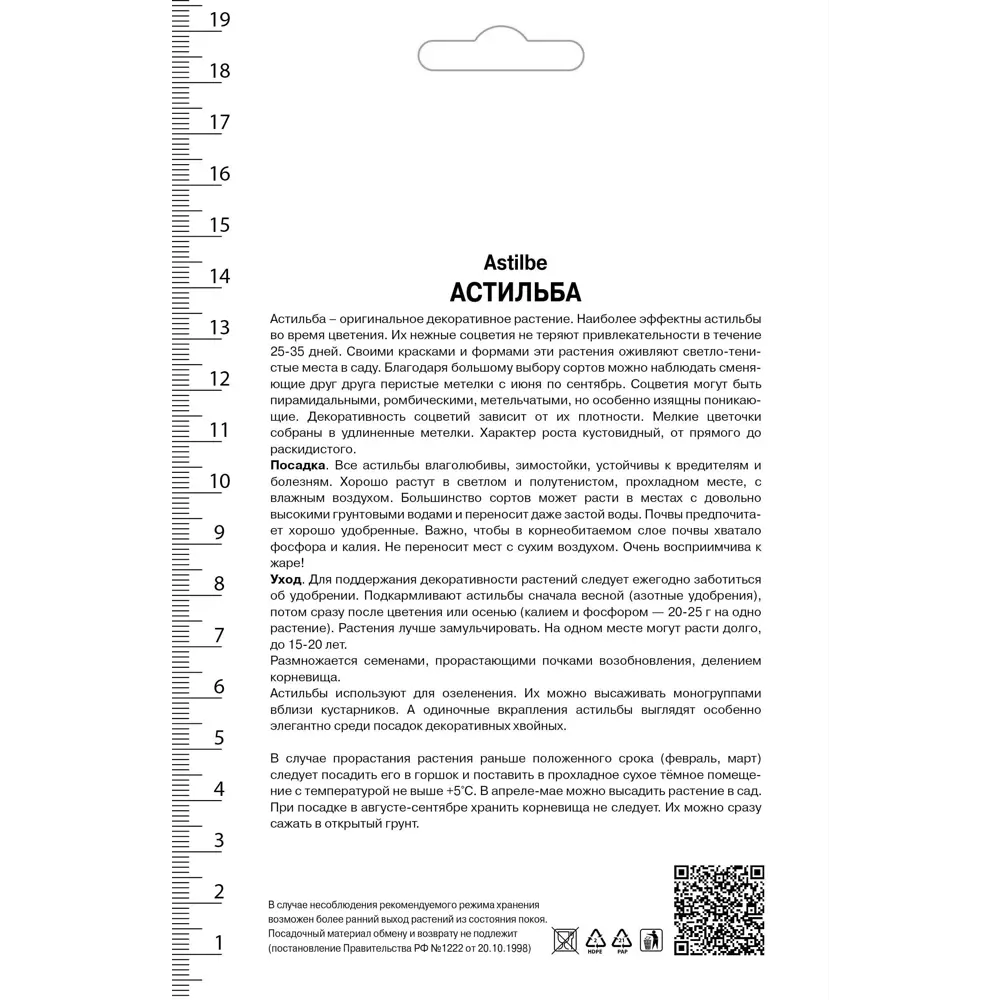 Астильба Китайская Вижнс ин Вайт 82530329 STLM-2055737 Santreyd  - Вид №1
