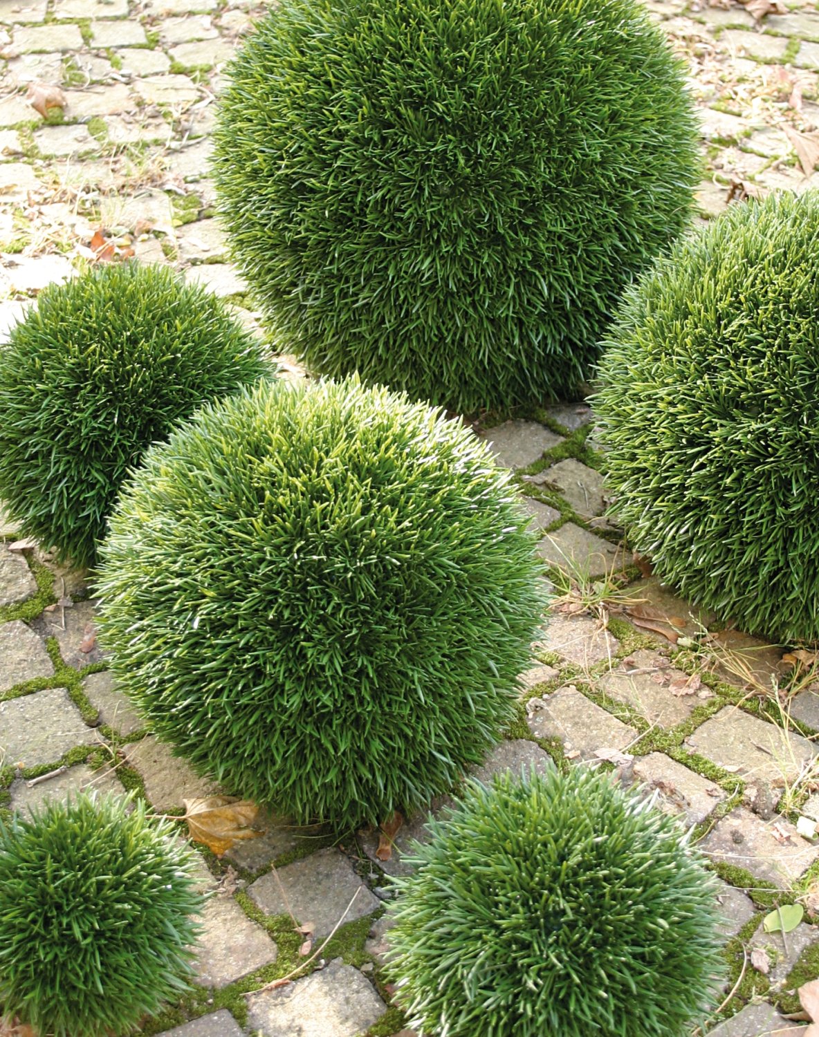 4882 883 a3 Пластиковый мяч для травы, синтетический материал, Ø 20 см, зеленый H-andreas 