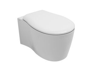 Туалет висит в витрине без бриды