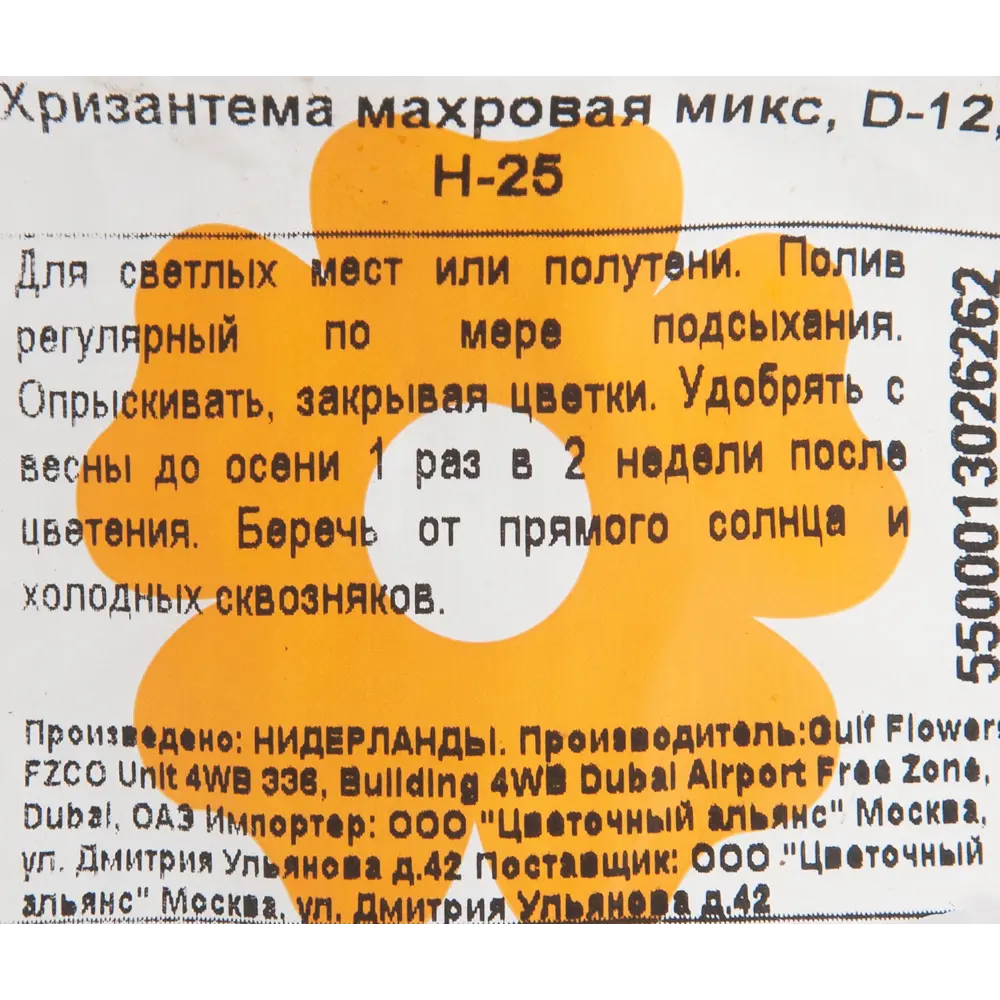Хризантема Махровая микс 12x25 см 82548594 STLM-2133555 Santreyd  - Вид №2
