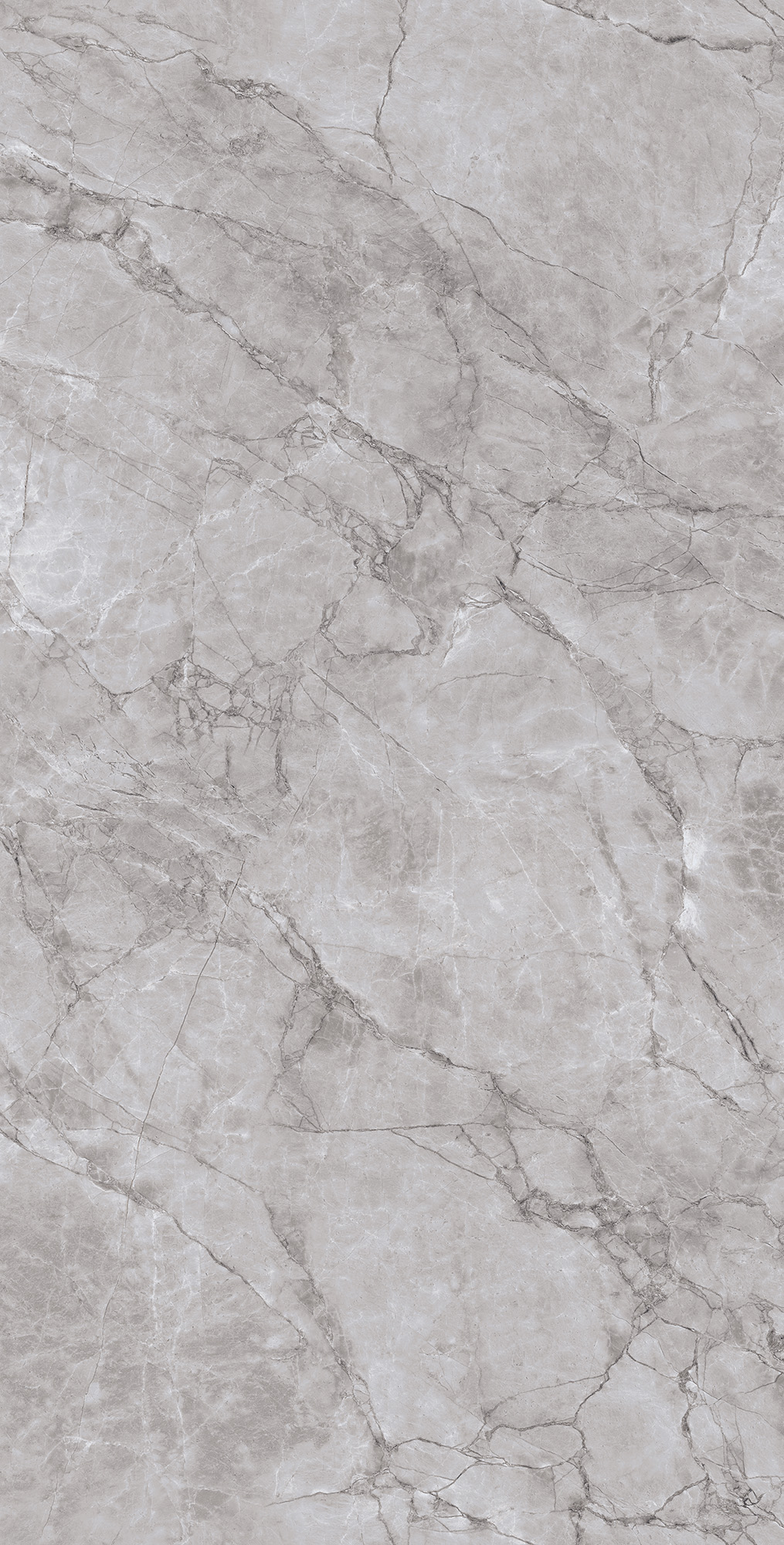 Керамогранит ARCTIC GREY LAPPATO 60х120 Arcadia Ceramica CL4005-A - Вид №5