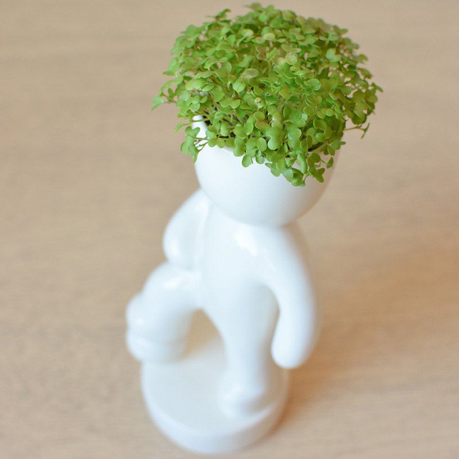 Набор для выращивания eco "Футболист" ЭКОЧЕЛОВЕКИ  254609 Белый  - Вид №3