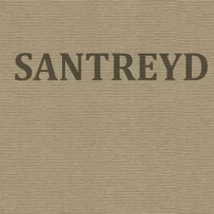 529876 Обои Rasch Berlin