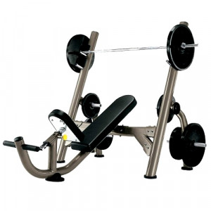 FW14B g3 fw14b (11в) олимпийская скамья для жима MATRIX G3 серия