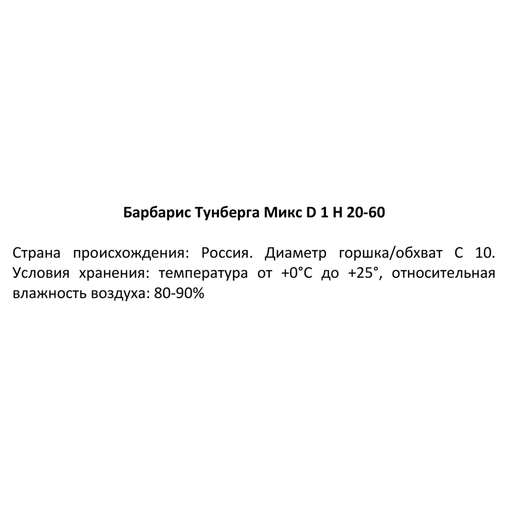 Барбарис Тунберга микс ø17 h20-60 см 84173603 STLM-2026069 Santreyd  - Вид №2